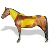 HorseBCS - iPadアプリ