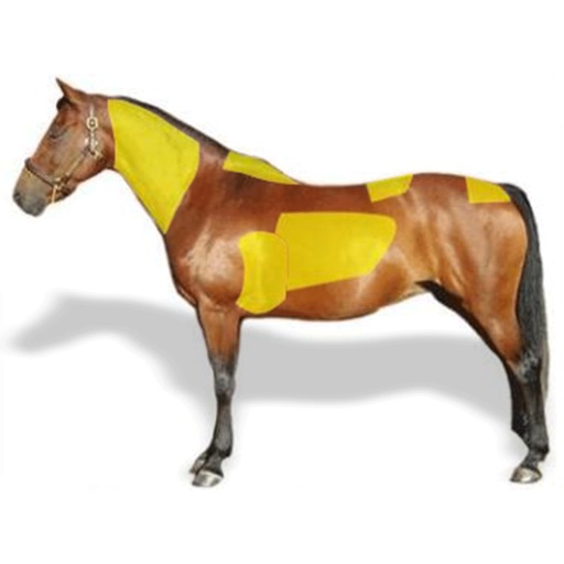 HorseBCS icon