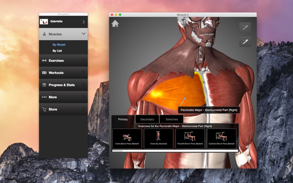 iMuscle 2 - 3.9.8 - (macOS)