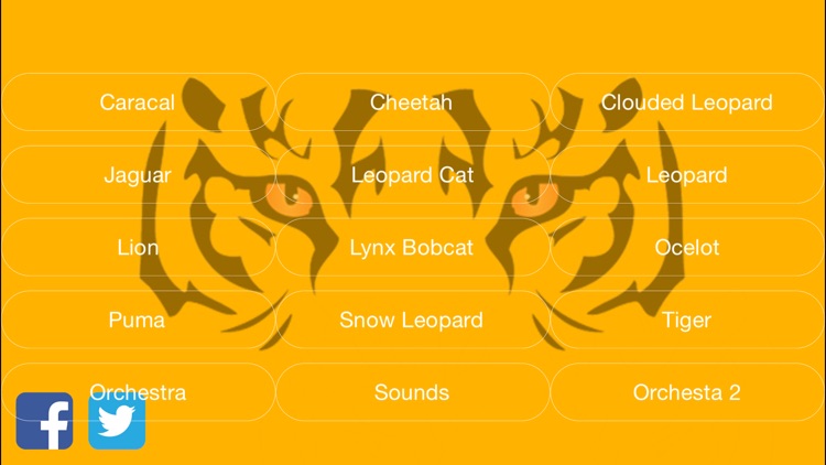 Wild Cats Orchestra screenshot-3