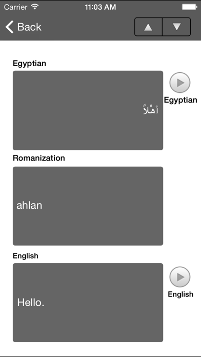 How to cancel & delete Egyptian - LSK from iphone & ipad 4