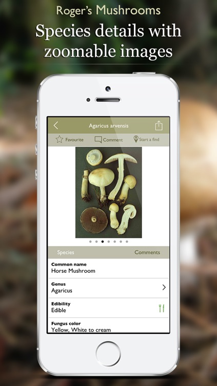 Roger's Mushrooms (Lite)