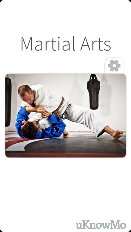 Martial Arts - Training in Mixed Combat for Fighting Sports or Protection with Self Defense