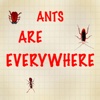 Ants Are Everywhere