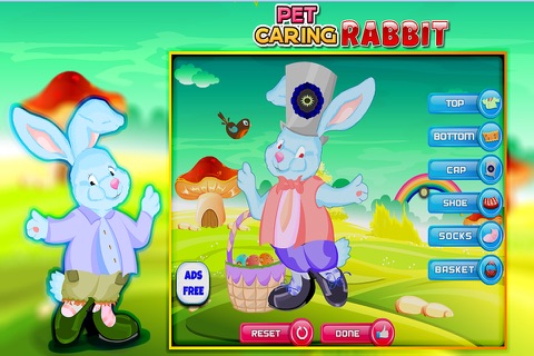 Pet Caring Rabbit screenshot 2