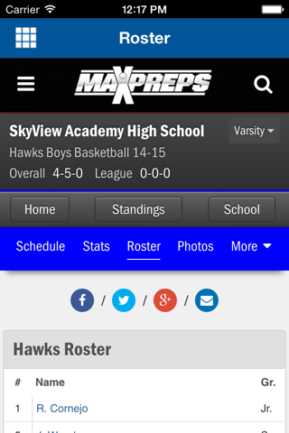 Skyview Basketball screenshot 4