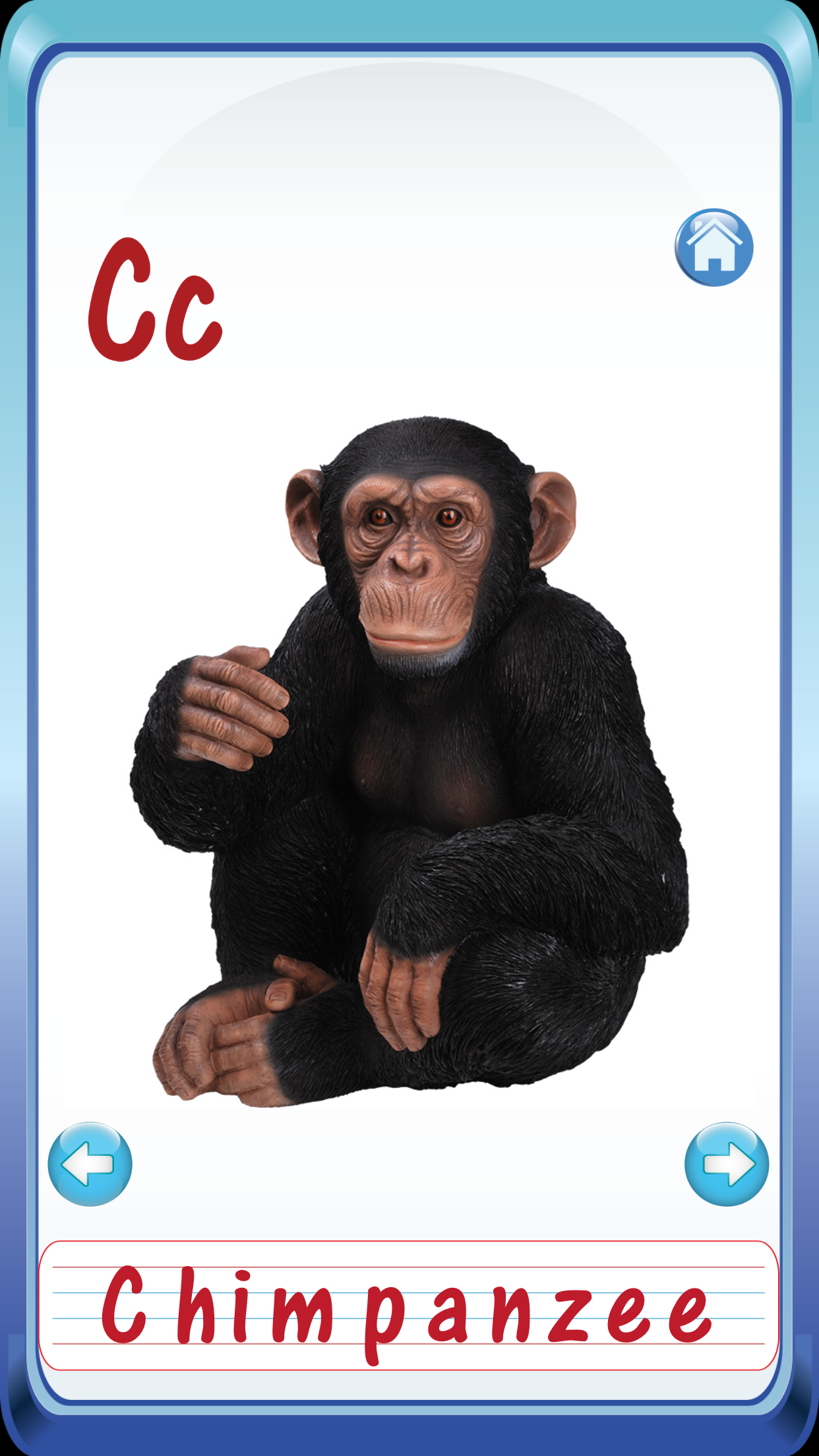 Kids safari jungle wild animals zoo & birds flashcards for preschool kindergarten baby screenshot 4