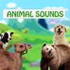 Icon Animal Sounds for babies and children