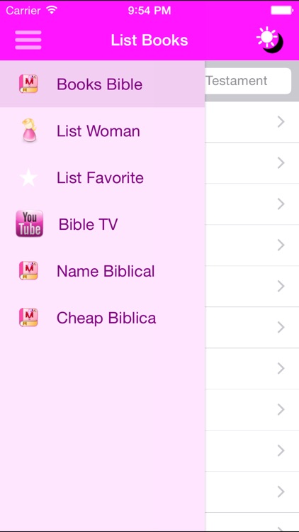 Holy Bible Woman JMC