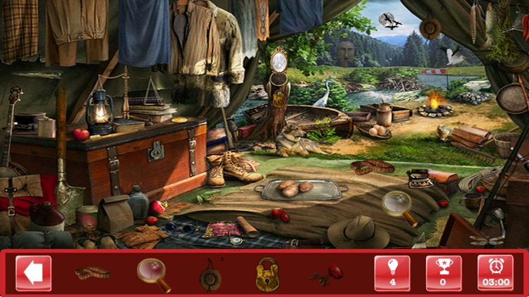 Detective Diaries Hidden Object screenshot-3
