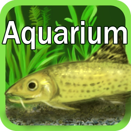 FreshWater Aquarium