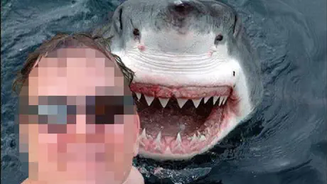 Fake Selfie Free