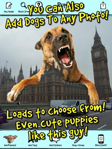 Screenshot #6 pour Puppygram - Turn Friends Into Puppy Dogs Instantly and more!
