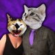 CATstagram! Turn people into CATS instantly and more! app icon - Photo & Video app for iPhone