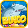 Bingo Splash Big Gold Fish Casino in Vegas Free