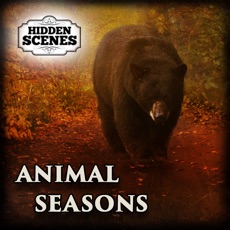 Activities of Hidden Scenes - Animal Seasons