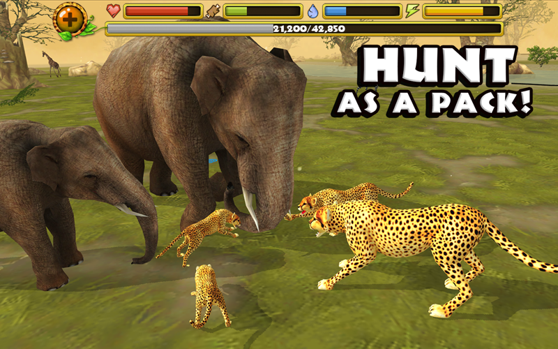 Cheetah Simulator thumbnail 2