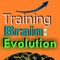 Brain Training: Evolution