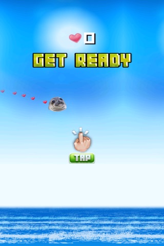 A Awkward Seal Flap PRO - Fun Multiplayer Game screenshot 3