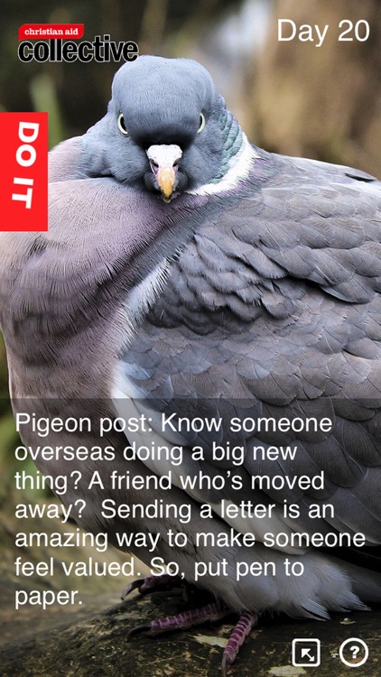 Count Your Blessings screenshot-3