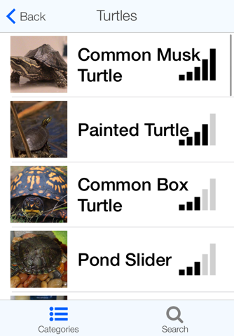 Regional Reptiles screenshot 2