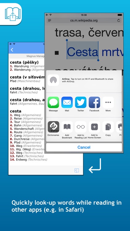 Magnus Czech Dictionaries screenshot-3