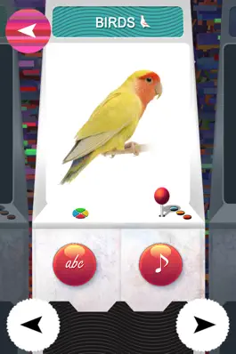 Game screenshot T.O.Y ( Teach Our YoungOnes ) - Free PreSchool Educational Learning Games For Toddlers And Kindergarten Kids With Birds and Animals sounds apk