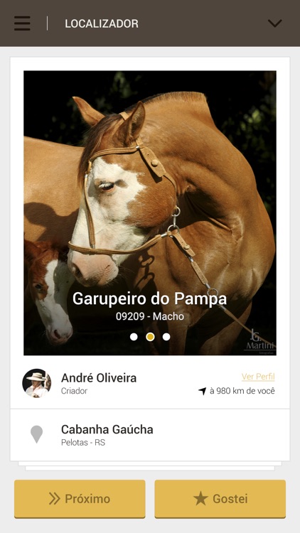 Cavalo Crioulo Online