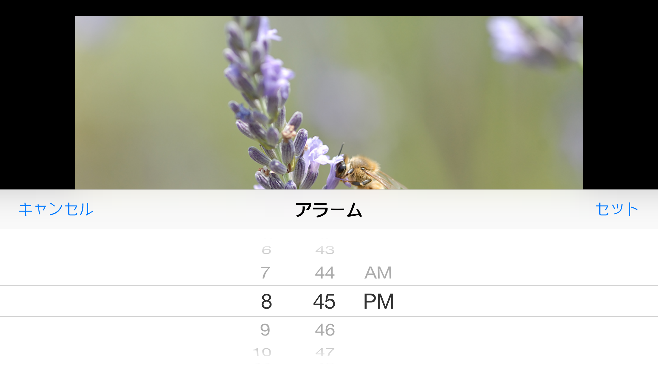 みつばち時計　～山田養蜂場から里山でミツバチと共に暮らす風景を～