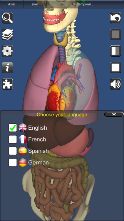 3D Bones and Organs (Anatomy)