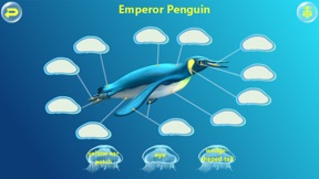 Amazing Ocean Animals- Educational Learning Apps for Kids Free screenshot