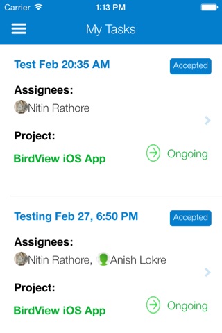 Birdview: Project Management screenshot 4