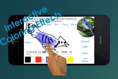 The Bird Book - an Interactive Storybook for Children screenshot 2
