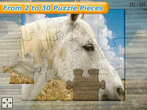 Mighty Horses - Real Horse Picture Puzzle Games for kids iPad screenshot