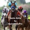 This app for Santa Anita, has custom algorithms just for Santa Anita Park, for the Dirt, and Turf races especially the 6