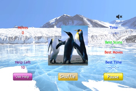 i'Slide Animals screenshot 3