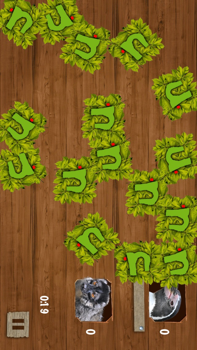 Memory Games with Nuremberg ZOO FREE for preschool children schoolchildren and adults