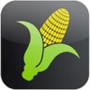 Corn Yield Finder