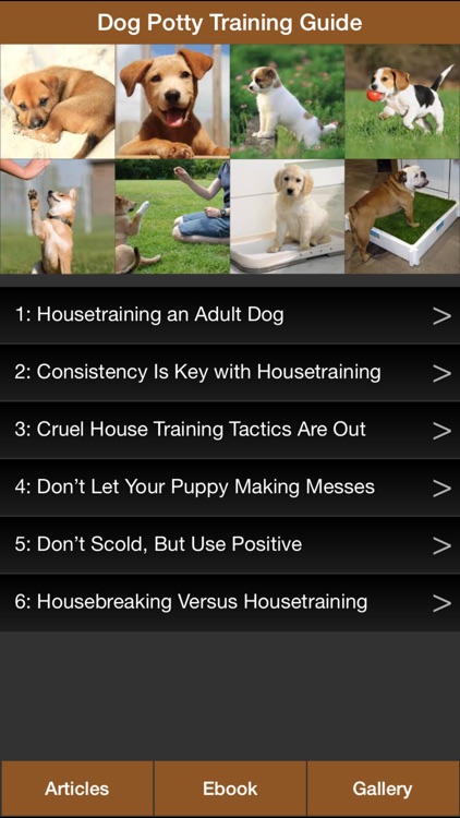 Dog Potty Training Guide - How To Potty Train Your Dog More Effectively