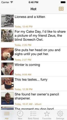 Game screenshot Cute Animals - Aww! mod apk