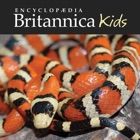 Top 29 Education Apps Like Britannica Kids: Snakes - Best Alternatives
