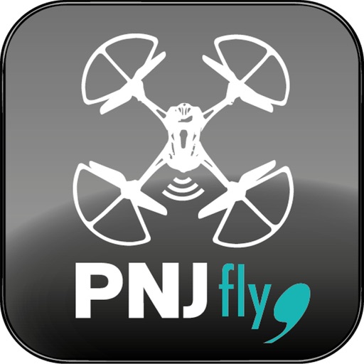 PNJ fly icon