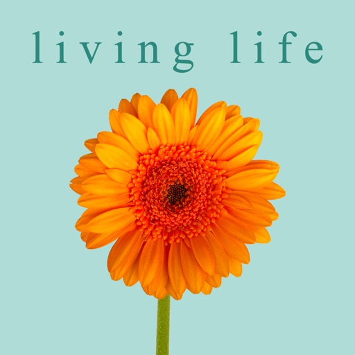 Living Life as a Thank You!!