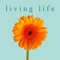 The Transformative Power of Daily Gratitude: With this app, you will be able to feel more connected to the flow of life and less alone in your struggles and fears
