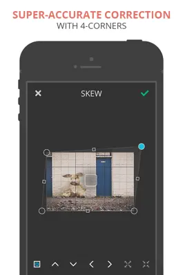 Game screenshot SKEW apk
