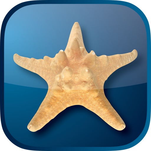 Five Star Hilton Head icon