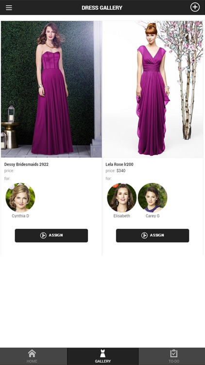 Bridesmaid Planner screenshot-3