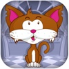 A Silly Gravity Cat Bounce – Pet Collecting Survival Adventure
