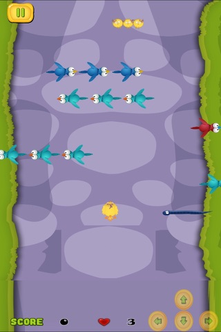 A Baby Chick Escape FREE - Farm Animal Road Cross Challenge screenshot 2