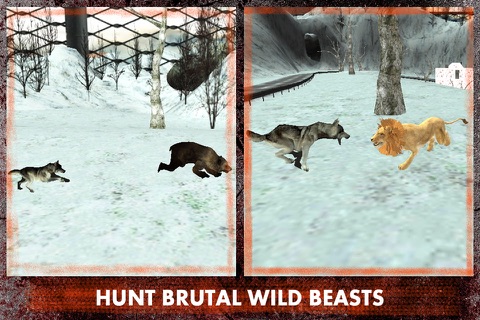 Wild Wolf Attack Simulator 3D – Live life of an alpha and take revenge for your clan screenshot 2